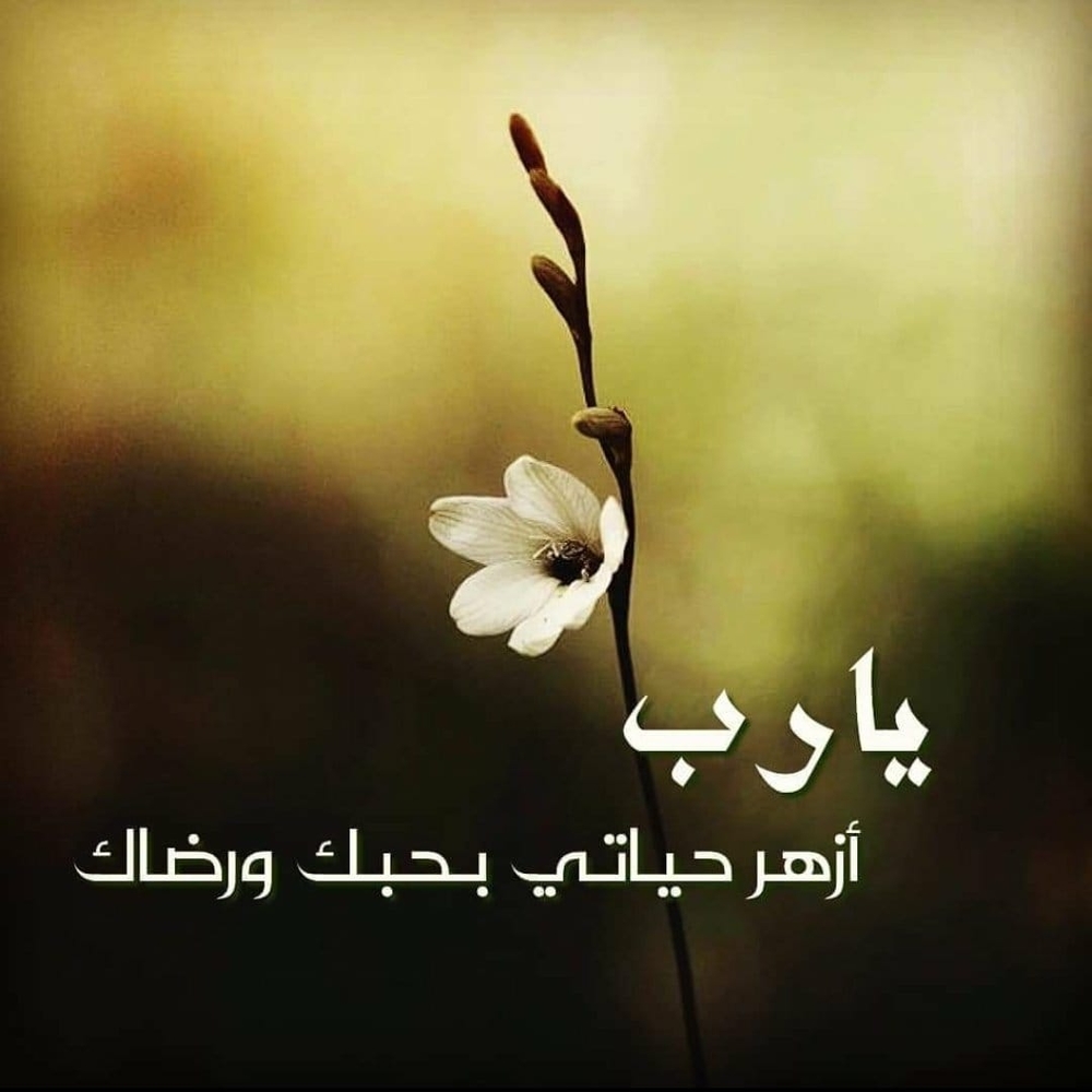 Meet your Posher, Karima